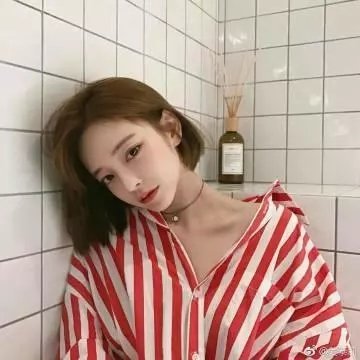汪星人的奇幻漂流